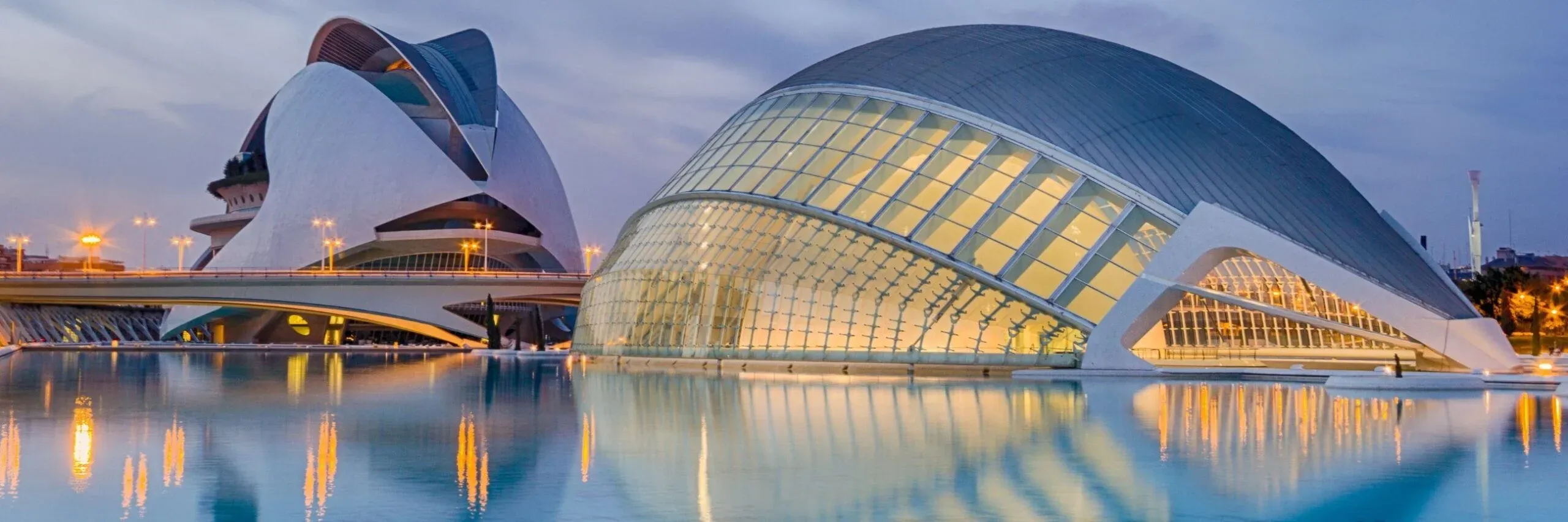 59 Smoothies naturales en Valencia